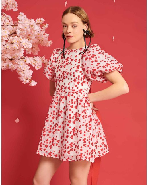 Sister Jane Red Dream Sakura Jacquard Mini Dress