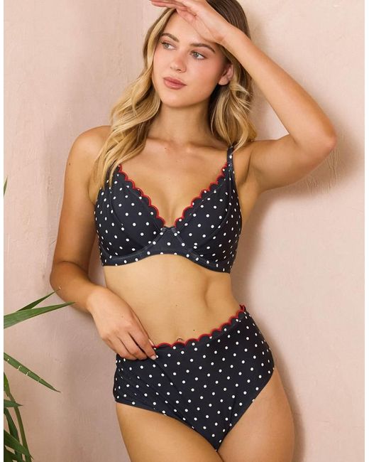 Peek & Beau Blue Dottie Scallop Underwired Plunge Top