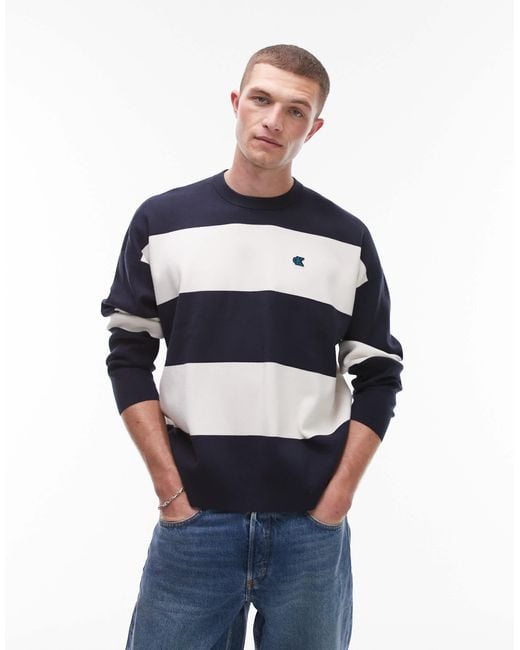Calvin Klein Blue Striped Sweatshirt for men