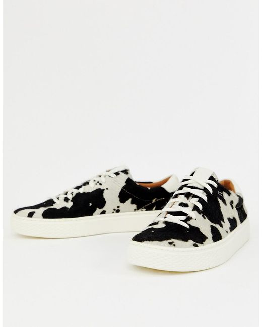Polo Ralph Lauren Black Lace Up Sneaker In Animal Print