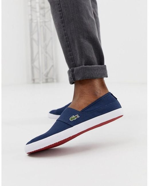 Lacoste marice navy sales