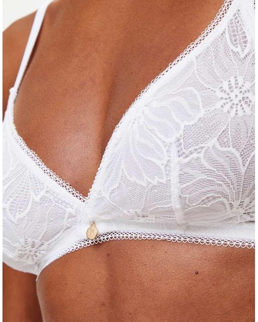 KBX Brown Knickerbox Alice Triangle Bralette
