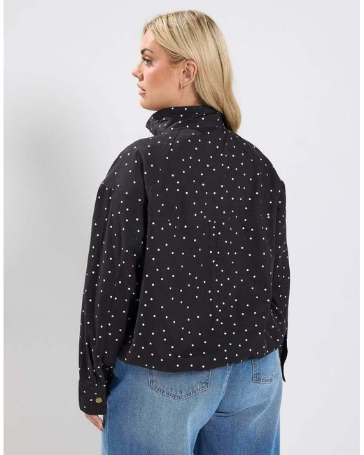 Yours Clothing Blue Polka Dot Funnel Neck Bomber Jacket