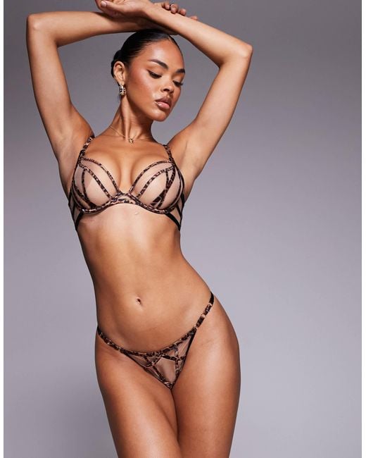 Ann Summers Brown – sheer desire – string mit animal-print