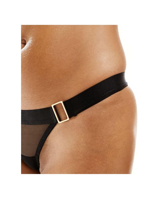 Bluebella Brown Trinity Lingerie Thong With Thick Strapping Detail