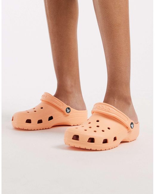CROCSTM Multicolor – classic – clogs