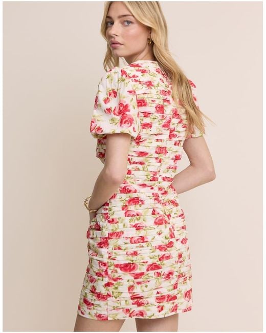 Nobody's Child Pink Fabienne Cotton Ruched Puff Sleeve Mini Dress