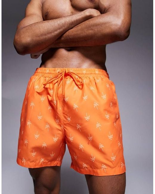 South Beach Orange Palm Tree Print Swimshort for men