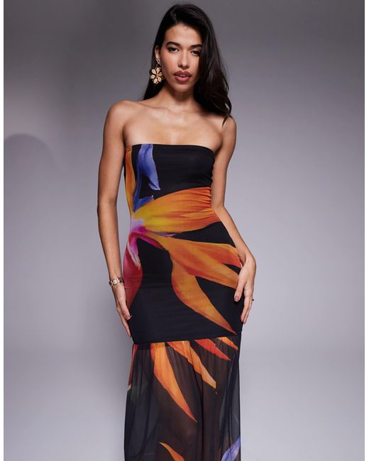 Kaiia Black Exclusive Double Layered Slinky Mesh Floral Bandeau Gathered Sheer Hem Maxi Dress