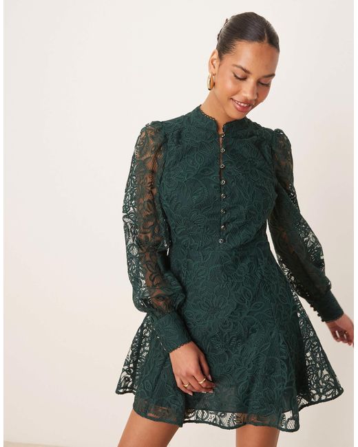 Forever New Green – kurzes skater-kleid aus spitze