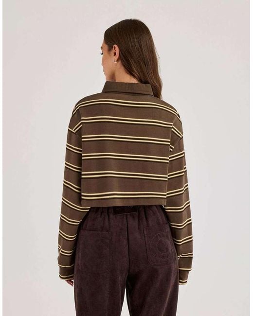 CERNUCCI Brown Striped Cropped Polo Top