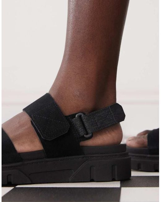 Timberland Brown Greyfield Sandals