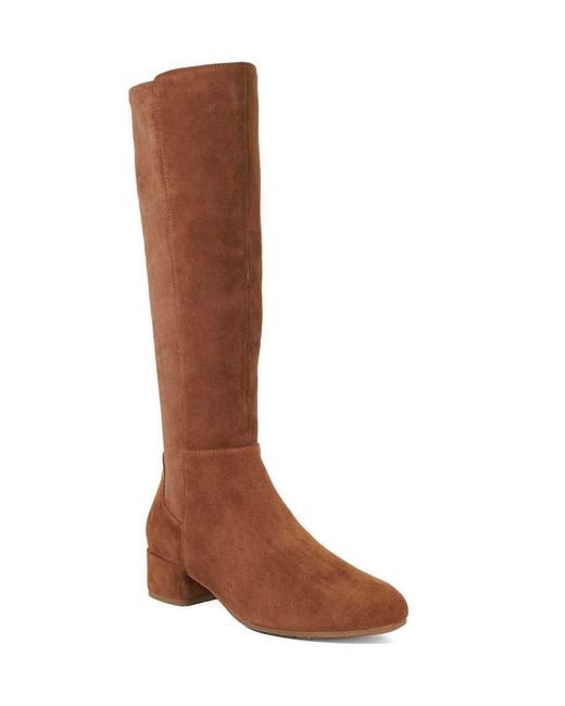 Dune Brown Tayla Knee High Boots