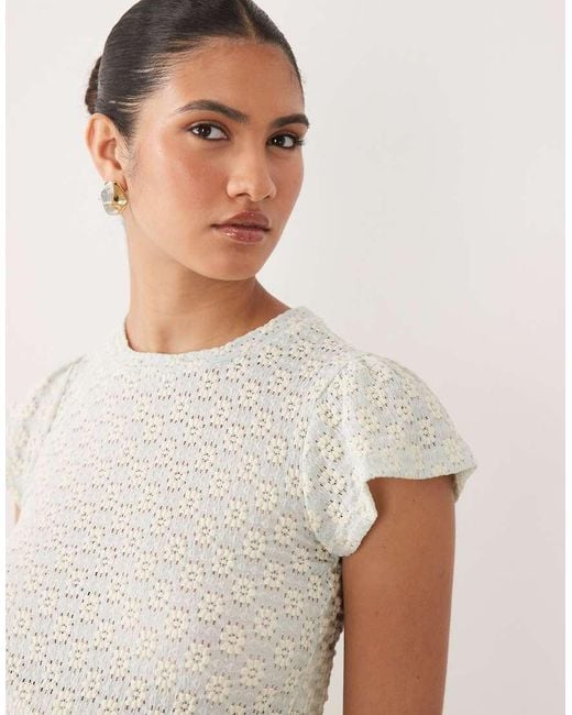 Mama.licious White Mamalicious Maternity Jersey Daisy Lace Crop Top