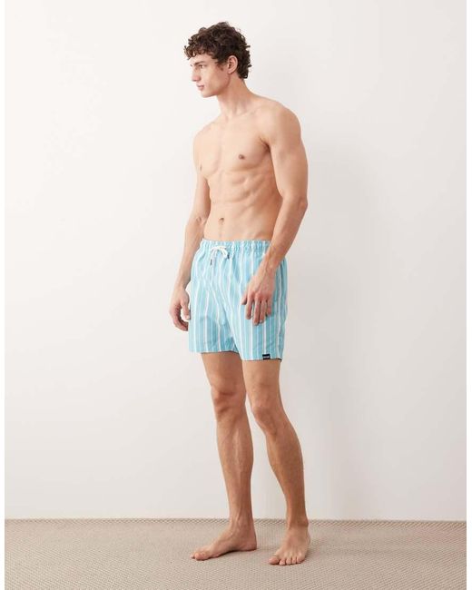Regatta Blue Quick-Dry Loras Swim Shorts for men