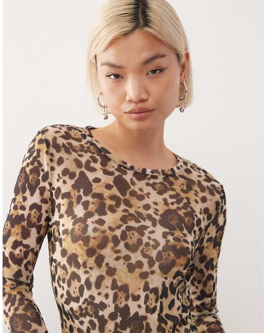 Noisy May Natural Mesh Top