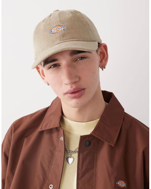 Dickies Brown Hardwick Cord Cap for men