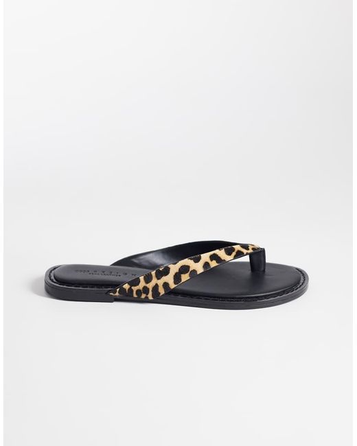 ASOS Blue Fenna Premium Leather Flip Flops