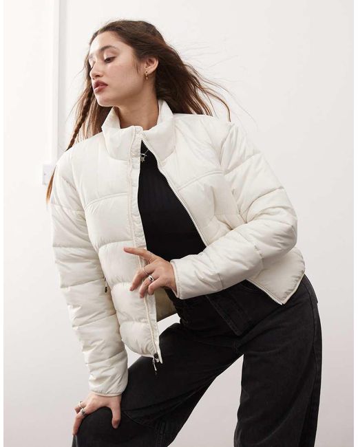The North Face Tnf 2000 in het Natural