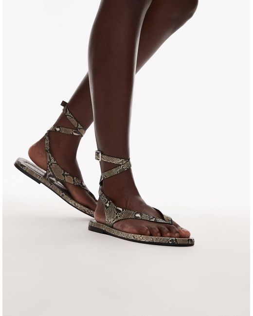 TOPSHOP Brown – jeremiah – zehensteg-sandale