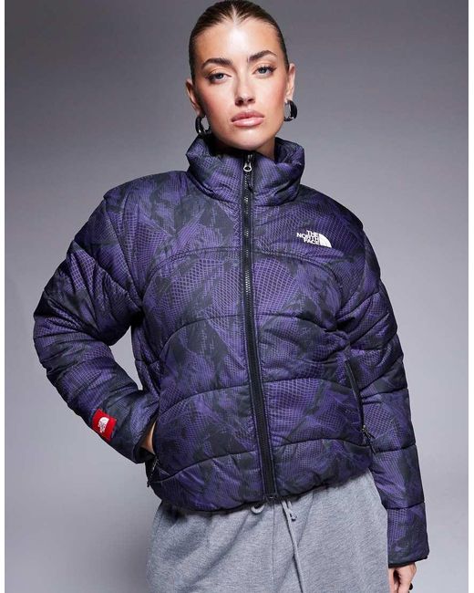The North Face Blue Seven Summits Tnf 2000 Puffer Jacket