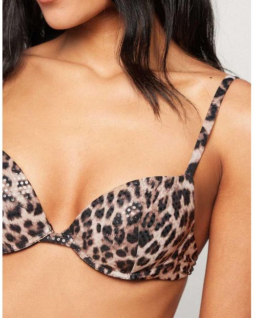 Tezenis Black Wild Soul Padded Push-Up Bikini Top