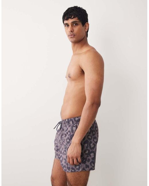 ASOS Blue Swim Shorts for men
