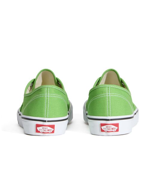 Authentic - baskets - citron Vans en coloris Green