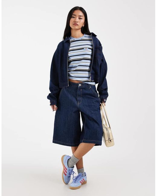 Dickies Glade Spring in het Blue