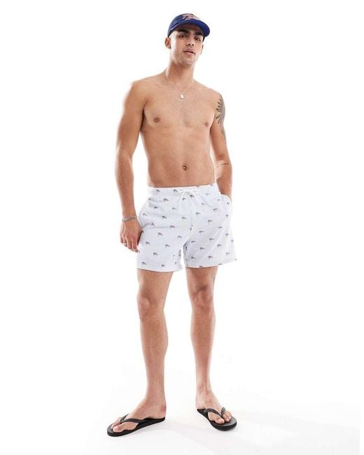 Hollister Blue Printed American Flag Swim Shorts for men