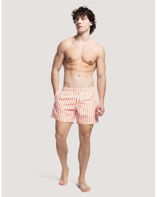 Apreslife Pink Stripe Swim Shorts for men