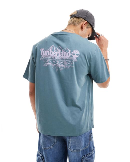 Timberland Blue Large Mountain Back Print Oversized T-shirt for men