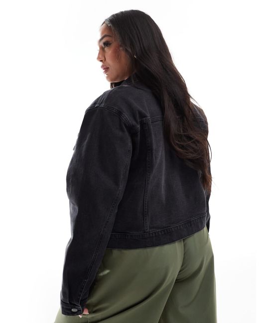 ASOS Black Asos Design Curve Denim Western Jacket