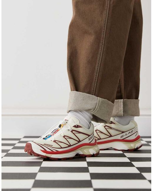 Salomon Brown Xt-6 Trainers