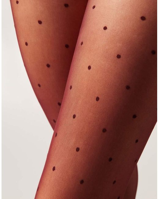 Calzedonia Red Sheer Polka Dot Tights