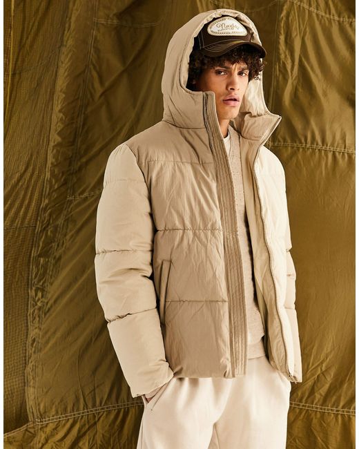 ASOS Puffer Jacket With Cut And Sew Panels in Natural for Men | Lyst UK