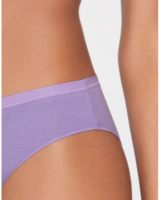 Tezenis Purple Cotton Knickers