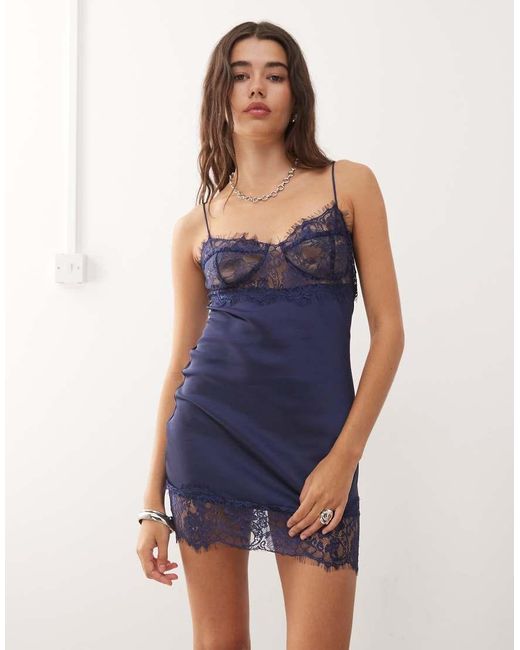 Lioness Angelic in het Blue
