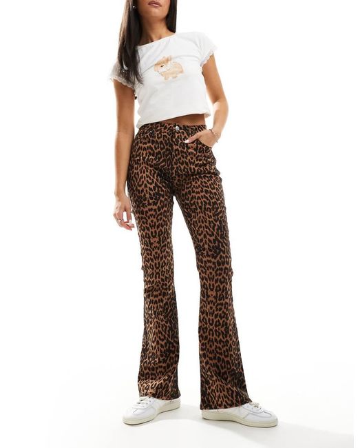 Miss Selfridge Brown Leopard Flare Jean