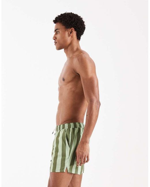 Aray Green Swimshort for men