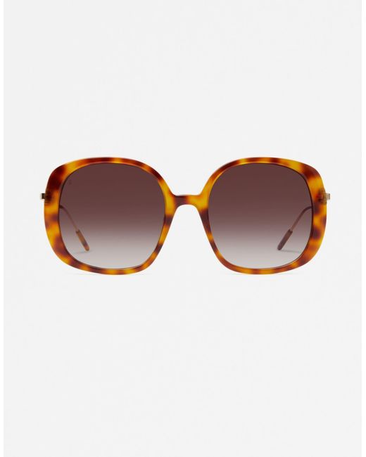 Jimmy Fairly Brown – the marilu – eckige oversize-sonnenbrille