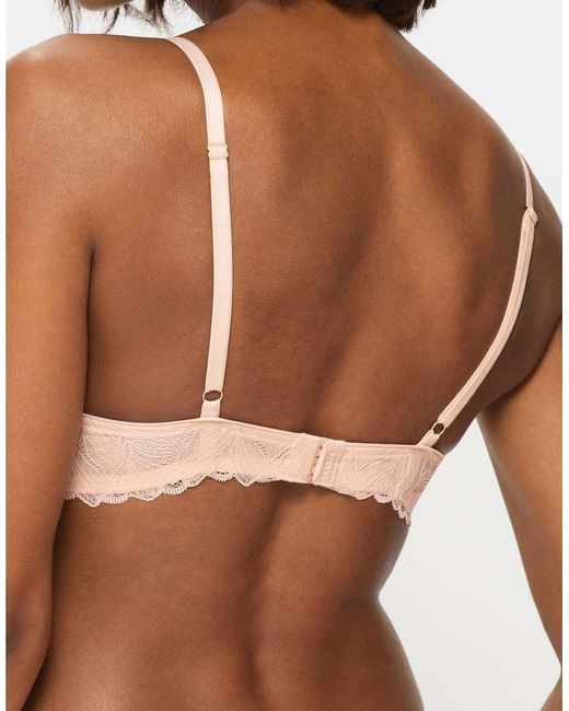 KBX Brown Knickerbox Harper Smooth Padded Plunge Bra