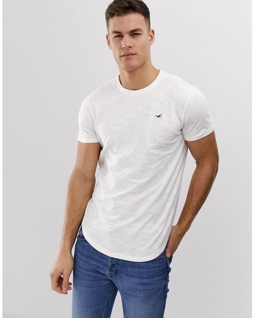 hollister t shirts white