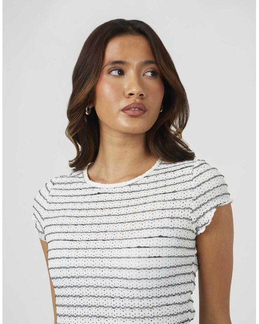 Brave Soul Gray Textured Jersey Stripe Short Sleeve Top