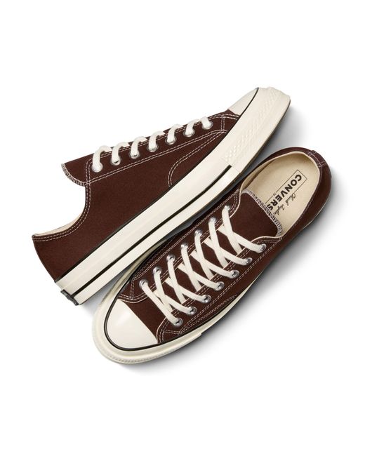 Converse Brown Chuck 70 Ox Sneakers for men