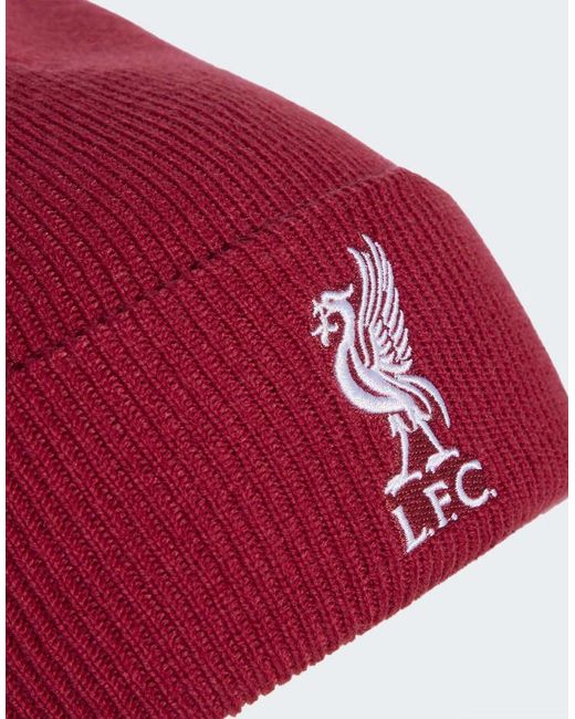Adidas Originals Red Liverpool Fc Woolie Hat