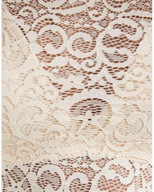 Motel Brown Nova Lace Top