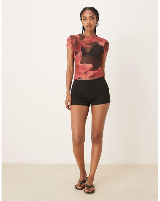 ASOS Multicolor Sheer Mesh Baby Tee