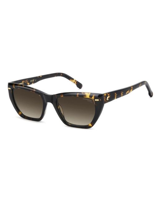 Carrera Carrera in het Brown