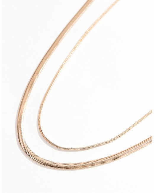 ASOS Brown Pack Of 2 Necklaces With Snake Chain Design